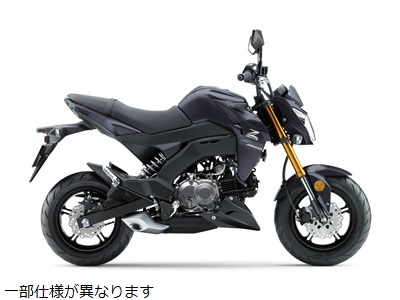 カワサキパーツ/ウエア＆グッズオンラインショップカラーパーツ一覧
